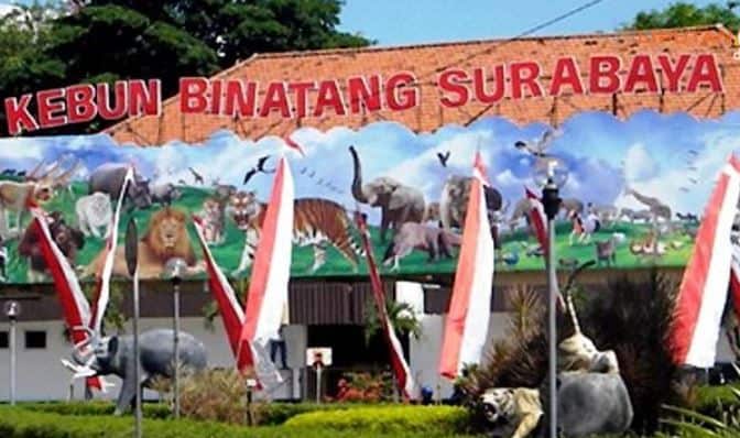 kebun binatang surabaya